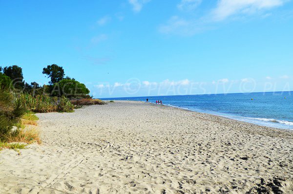 Foto della spiaggia di Figareto in Corsica