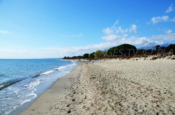 spiaggia di Talasani, in frazione Figareto