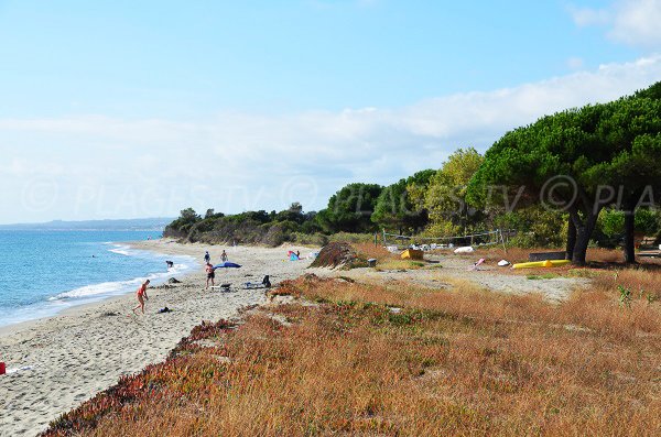 Camping next to Talasani beach - Corsica