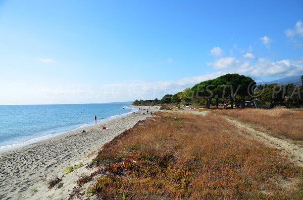 Talasani beach in Figareto in Corsica