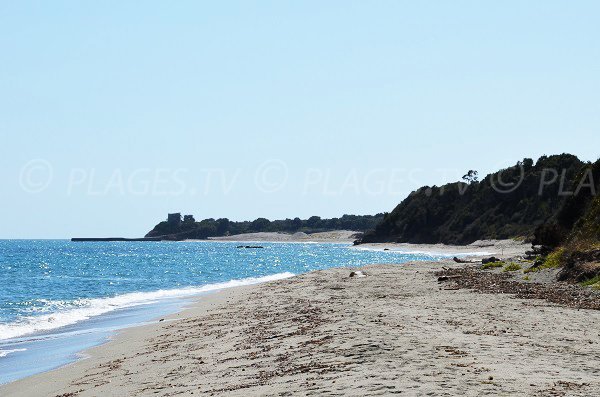 Photo de la plage de Tallone vue depuis la plage de Riva Bella