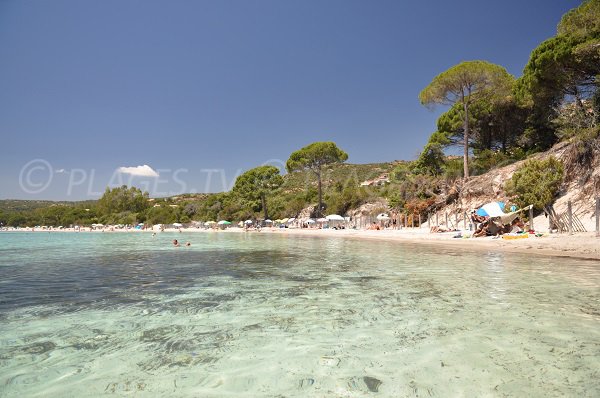 Acque cristalline spiaggia di Tamaricciu - Porto-Vecchio