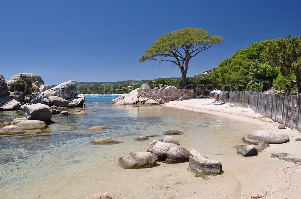 Tamaricciu creek - Porto-Vecchio