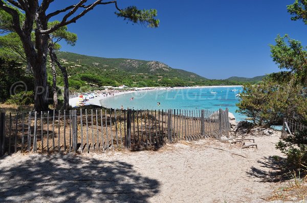 Anse de Tamaricciu en Corse