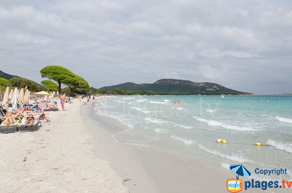 Plage privée sur la plage de Tamaricciu - Porto-Vecchio