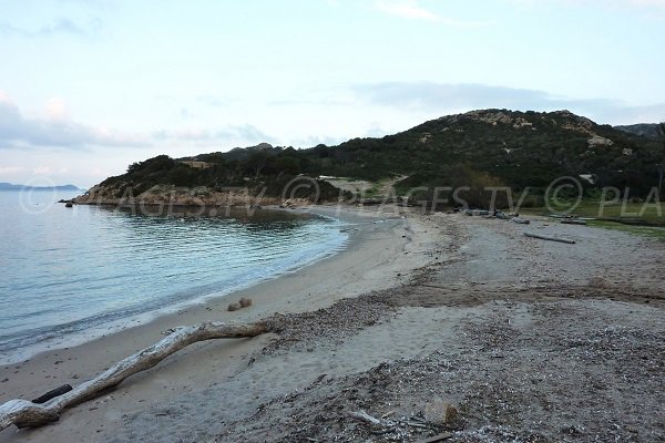 Photo of Tamaris beach in Bonifacio in Corsica