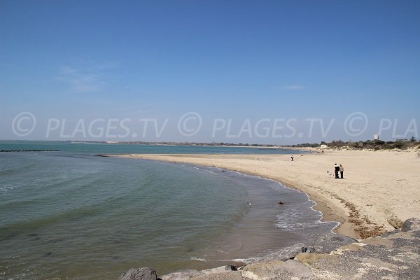 Spiaggia Tamarissière ovest di Agde