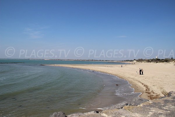 Plage de la Tamarissière à l'ouest d'Agde