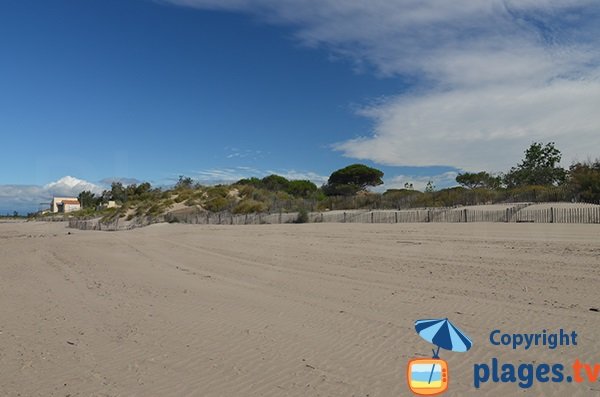 Dunes et forêts de la plage Tamarissière - Agde