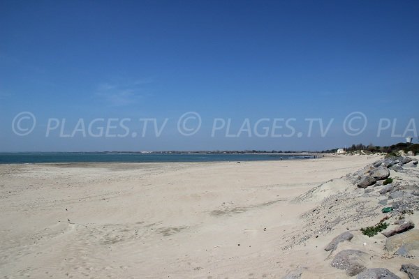 Plage de la Tamarissière au Grau d'Agde