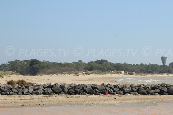 Plage de la Tamarissière à Vias