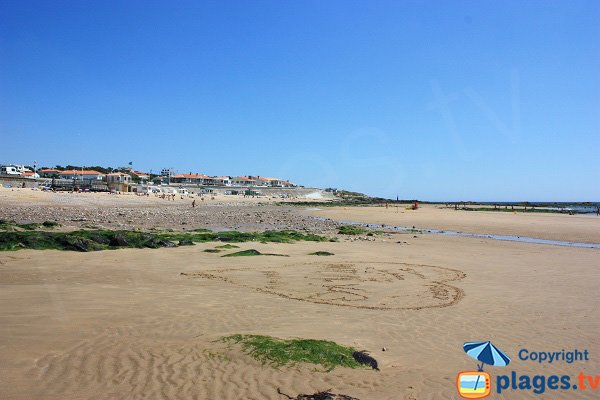 Vue sur le chateau d'Olonne depuis la plage de Tanchet