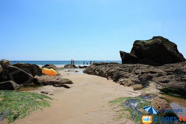 Rocks on Tanchet beach - Chateau d'Olonne