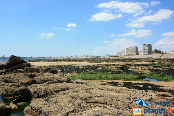 Rochers sur la plage du Tanchet côté Sables d'Olonne