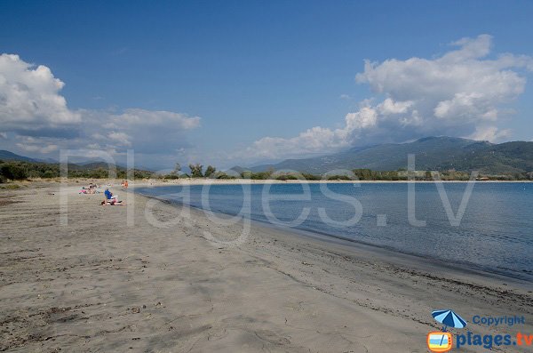 Taravo beach in Porto Pollo - Corsica