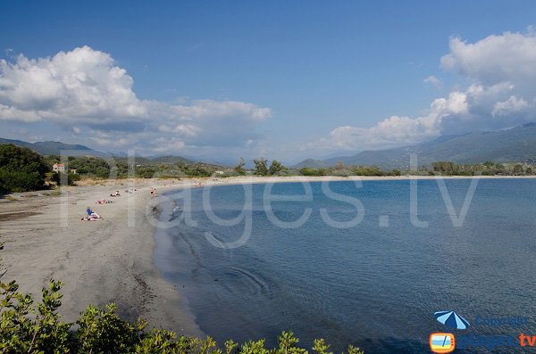 Foto della spiaggia di Taravo a Porto Pollo