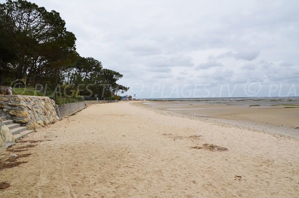 Photo de la plage de Taussat entre le port de Taussat et le club nautique