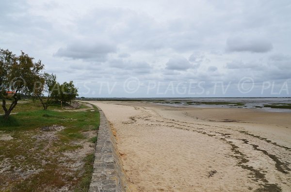 Photo de la plage de Taussat après le port Ostréicole