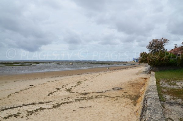 Plage à Lanton