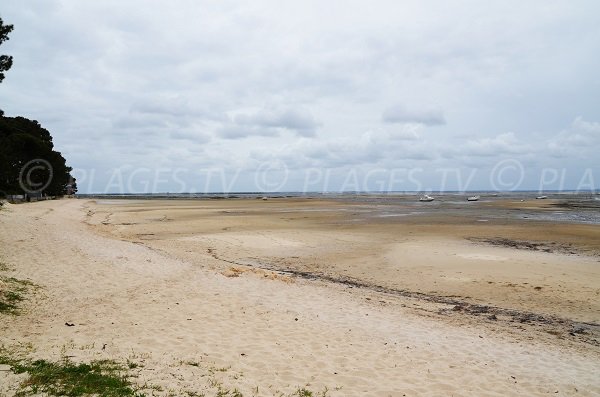 Photo de la plage de Lanton au niveau du port de Taussat