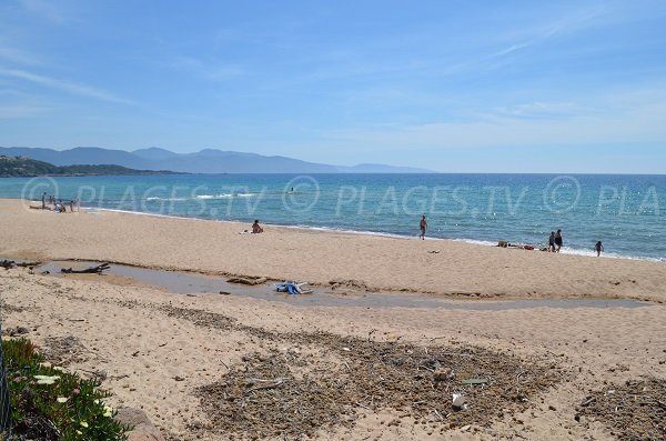 Vue sur le golfe de Sagone depuis la plage