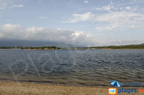 Vue sur l'ilot du Port depuis la plage de Figari