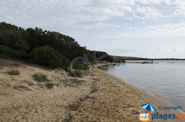 Plage de Tenuta à Figari