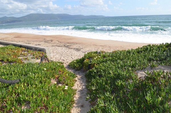 Accès à la plage de Tenutella d'Olmeto