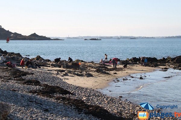 Photo de la plage de Térenez à Plougasnou