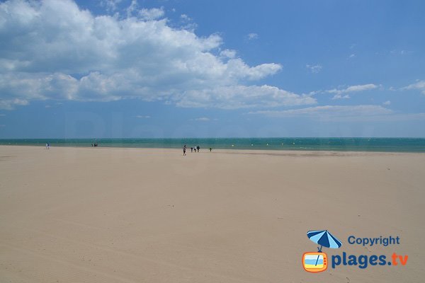 Large sand beach in Narbonne - France