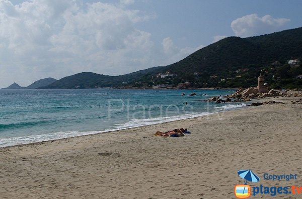 Foto spiaggia la Terre Sacrée a Ajaccio