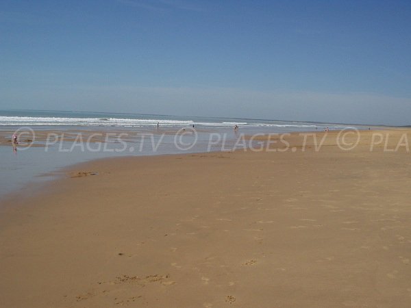 North beach in La Tranche sur Mer in La Terrière - France