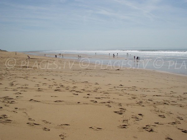 Terrière beach in La Tranche sur Mer in France