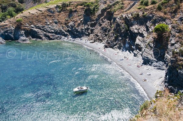 Photo de la plage de Terrimbo à Cerbère