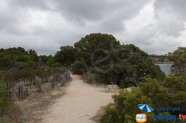 Sentier pour la crique dans le golfe de Ventilegne - Figari