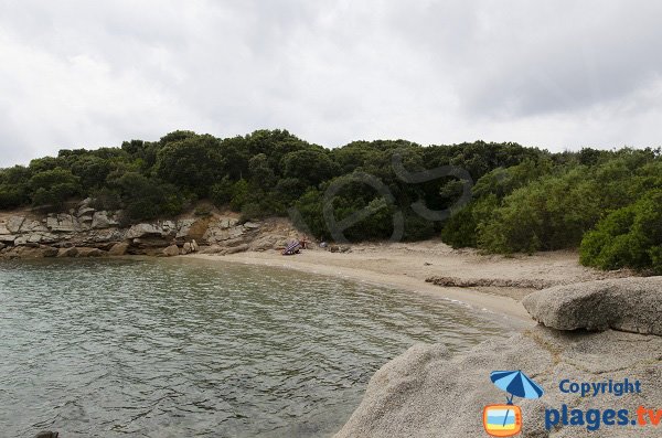 Photo de la plage de Terrori à Figari