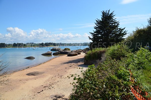 Crique dans le centre de l'île Renote