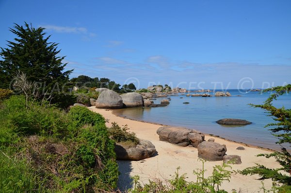 Belle plage sur l'Ile Renote à Trégastel