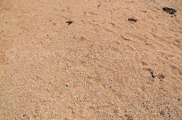 Sable de la plage de l'Ile Renote