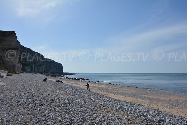 Plage du Tilleul avec vue sur la pointe du Fourquet (76)