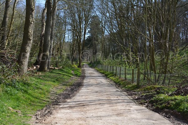 Path of valleuse d'Antifer