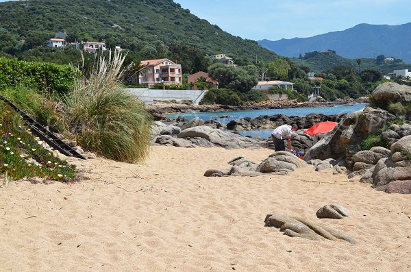  Una parte della spiaggia a sud di Tiuccia Casaglione - Corse