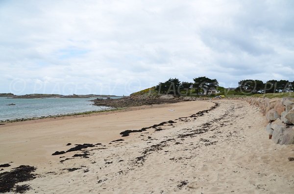 Photo de la plage de Toeno à Trébeurden