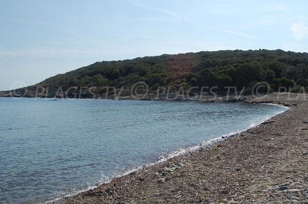 Tollare beach in Corsica