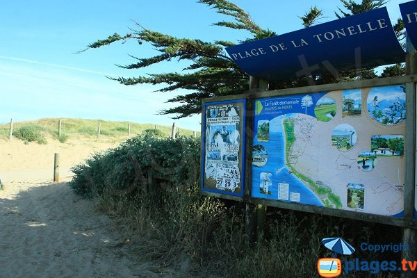 Sentier d'accès à la plage de la Tonelle - St Jean de Monts