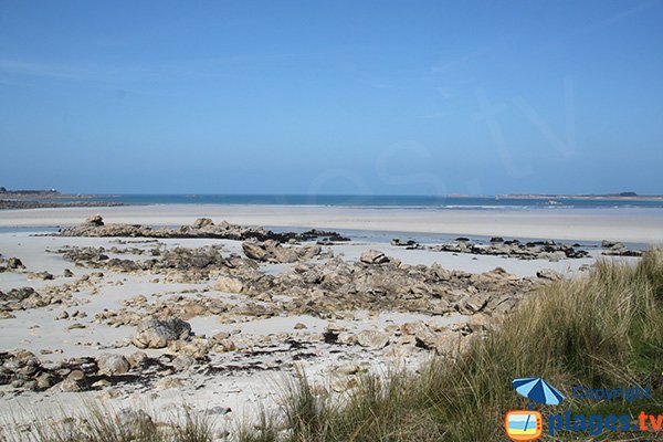 Plage de Toul an Ouch à Plougoulm - marée basse