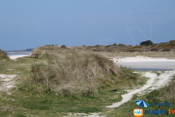 Dunes de Toul an Ouch - Plougoulm