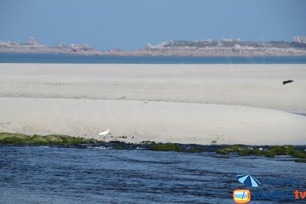 Banc de sable sur l'estuaire à Plougoulm