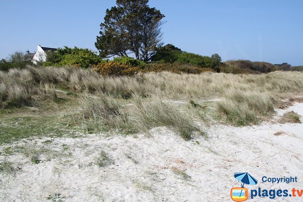 Plage sauvage le long de la rivière de Plougoulm - Kerbrat