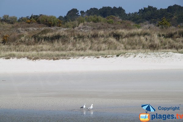 Vue sur la plage de Santec depuis la plage de Plougoulm